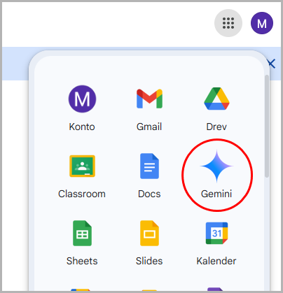app i google.png