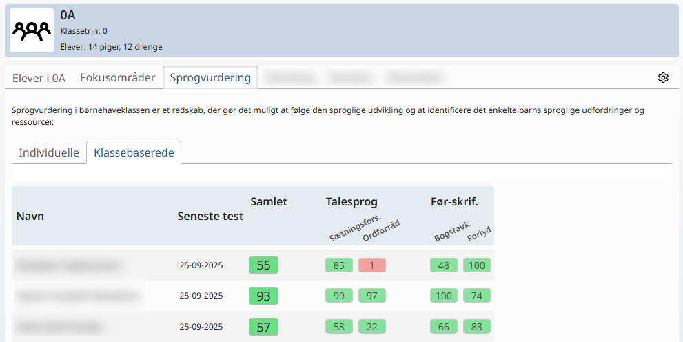 Funktionen Sprogvurdering - klassebasseret