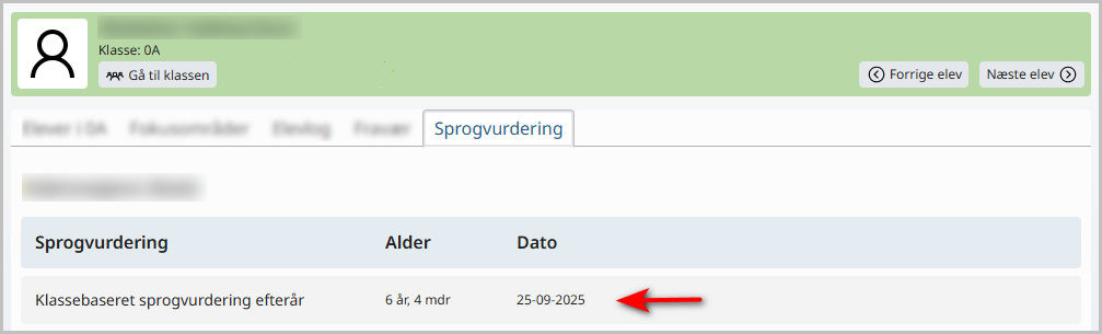 Individuelt resultat af sprogvurderingen