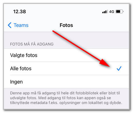 alle_fotos.jpg